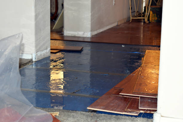 Professional Basement Flood Cleanup technician working in Pine Island, MN